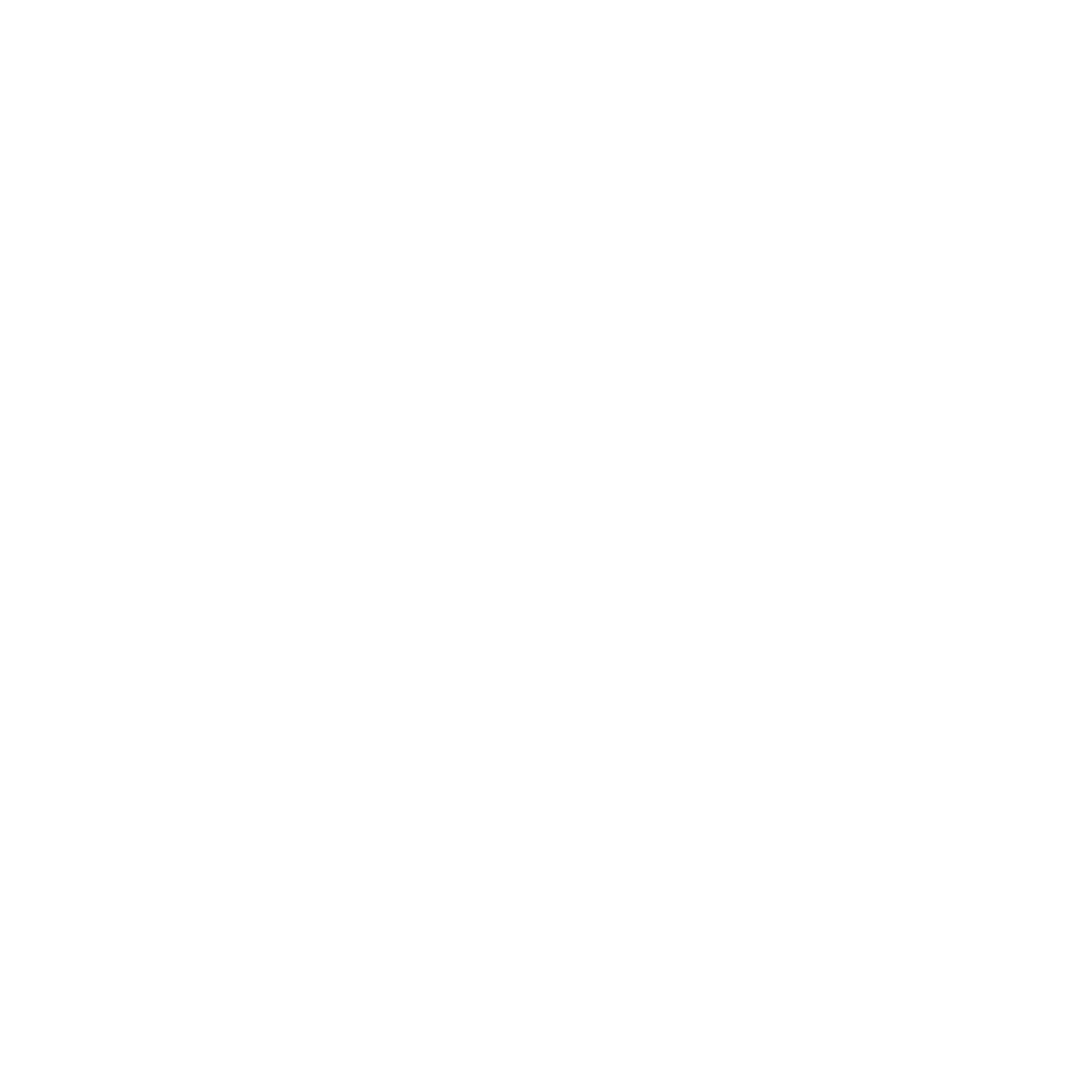 seitenschmiede-logo-weiss-gross
